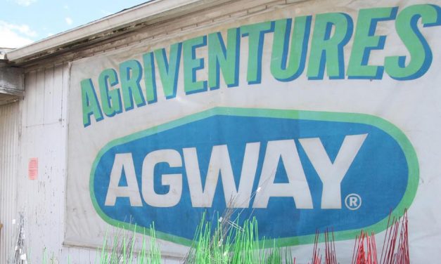 Agway store to close, big sale underway