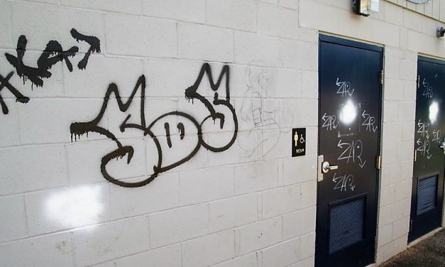 Graffiti defaces Community Field buildings